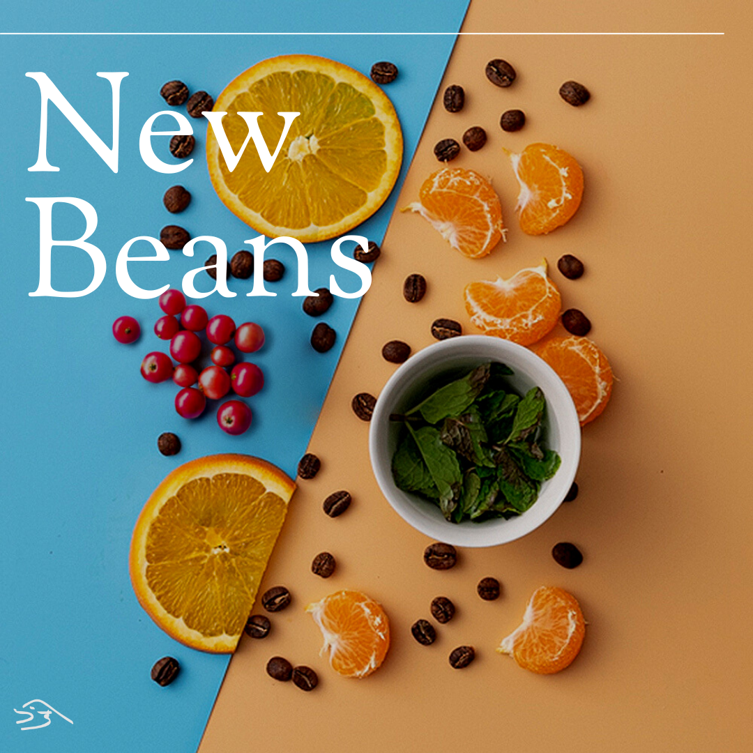 New Twins from Ecuador!