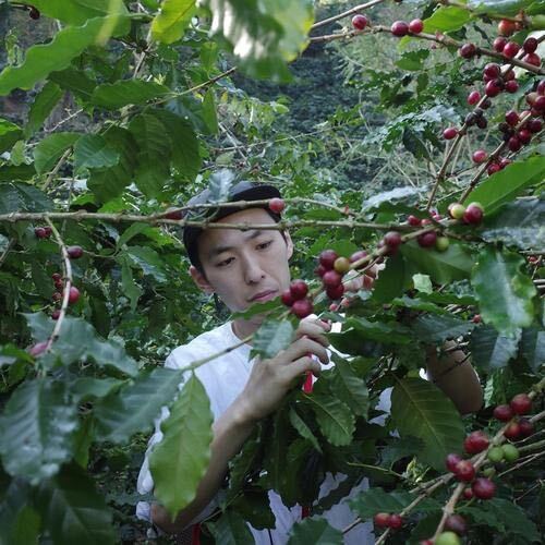 Interview with Kosuke: Our Roaster Part 3