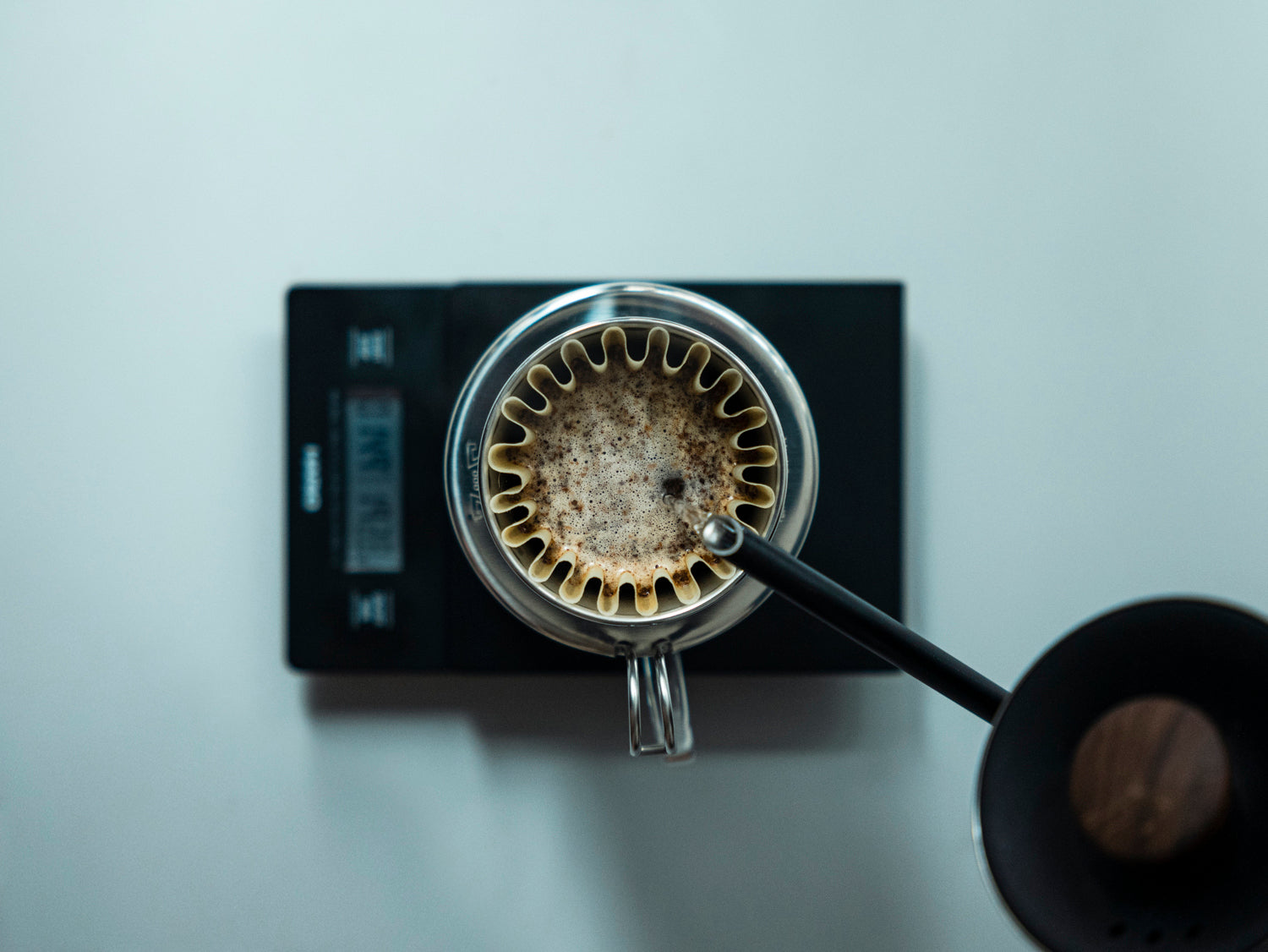 How to brew with Kalita Wave by Kurasu Kyoto 2023