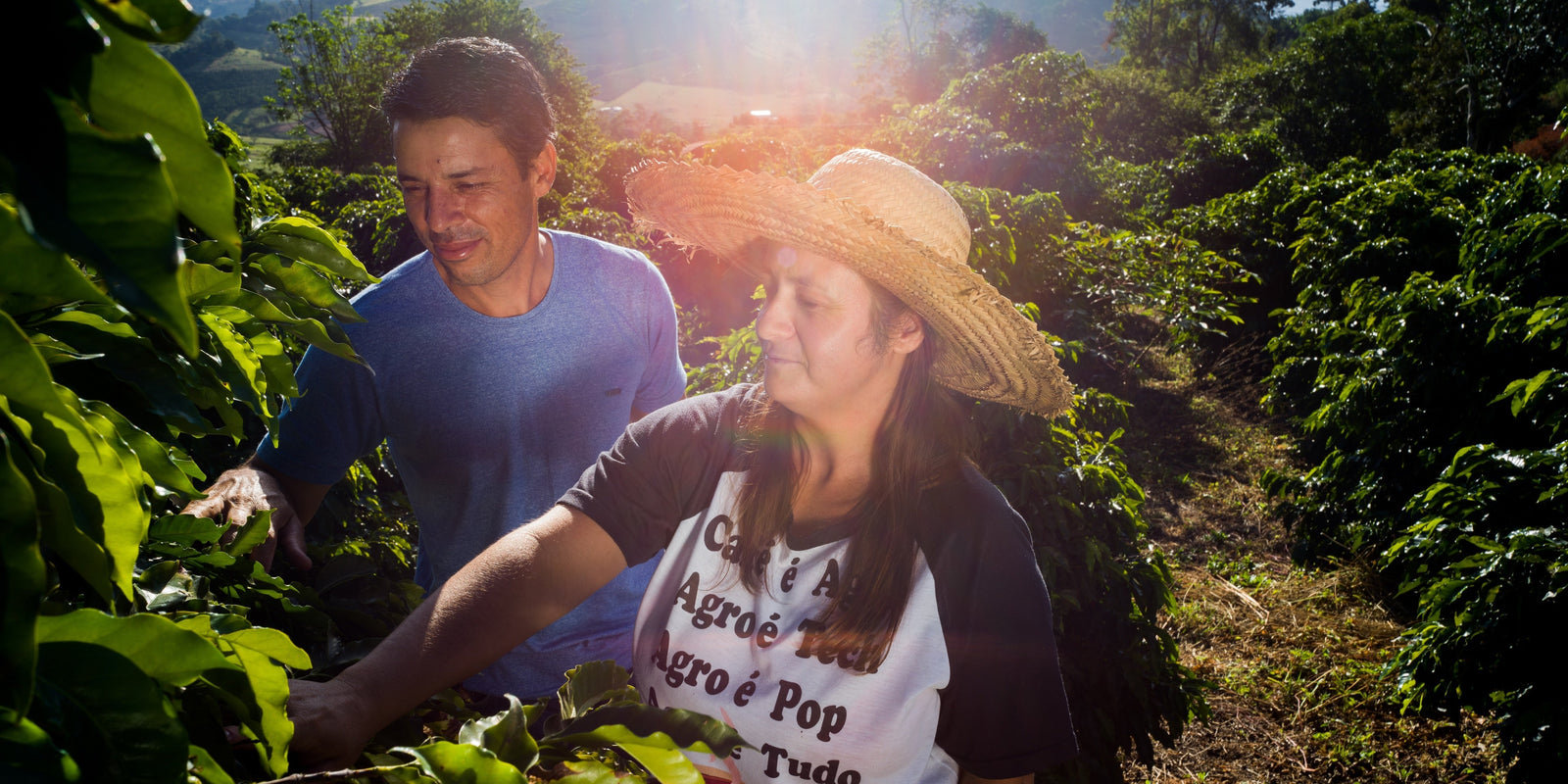 Kurasu’s beloved House Blend has now been reborn as a special single-origin coffee of Brazil