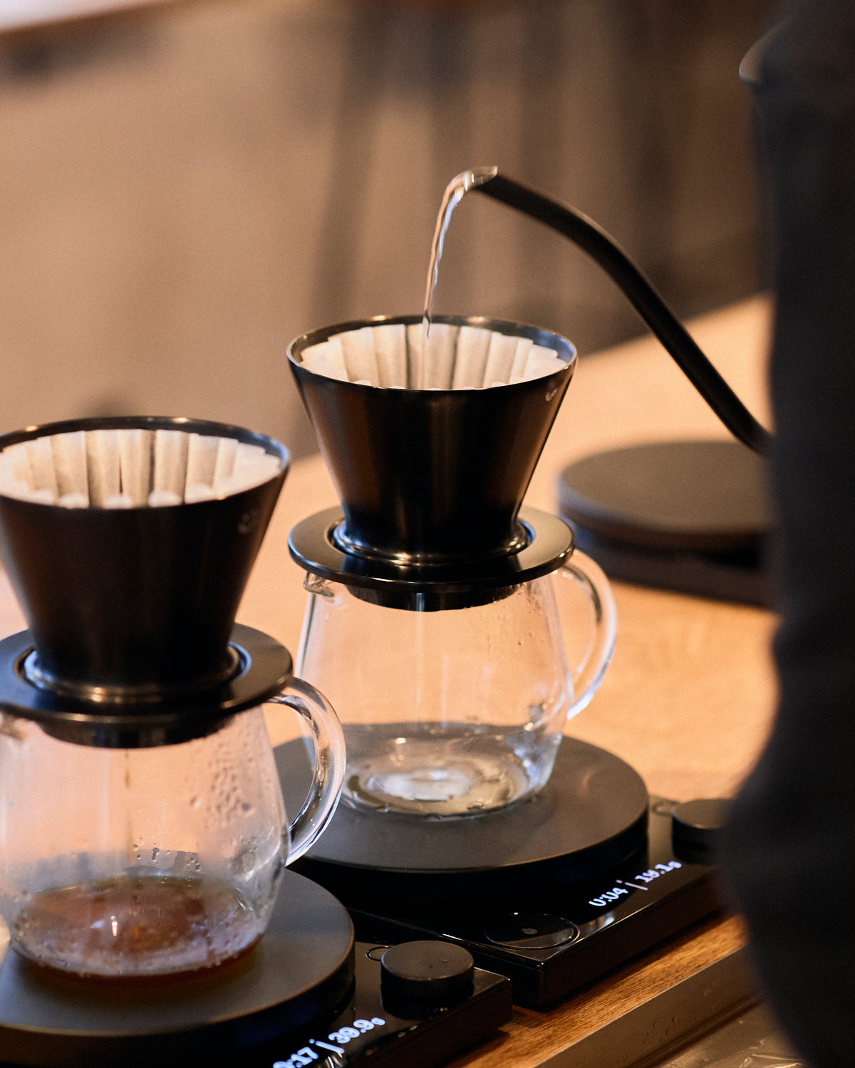 Seasonal Blend Haru Kochi 2026 [Medium roast]