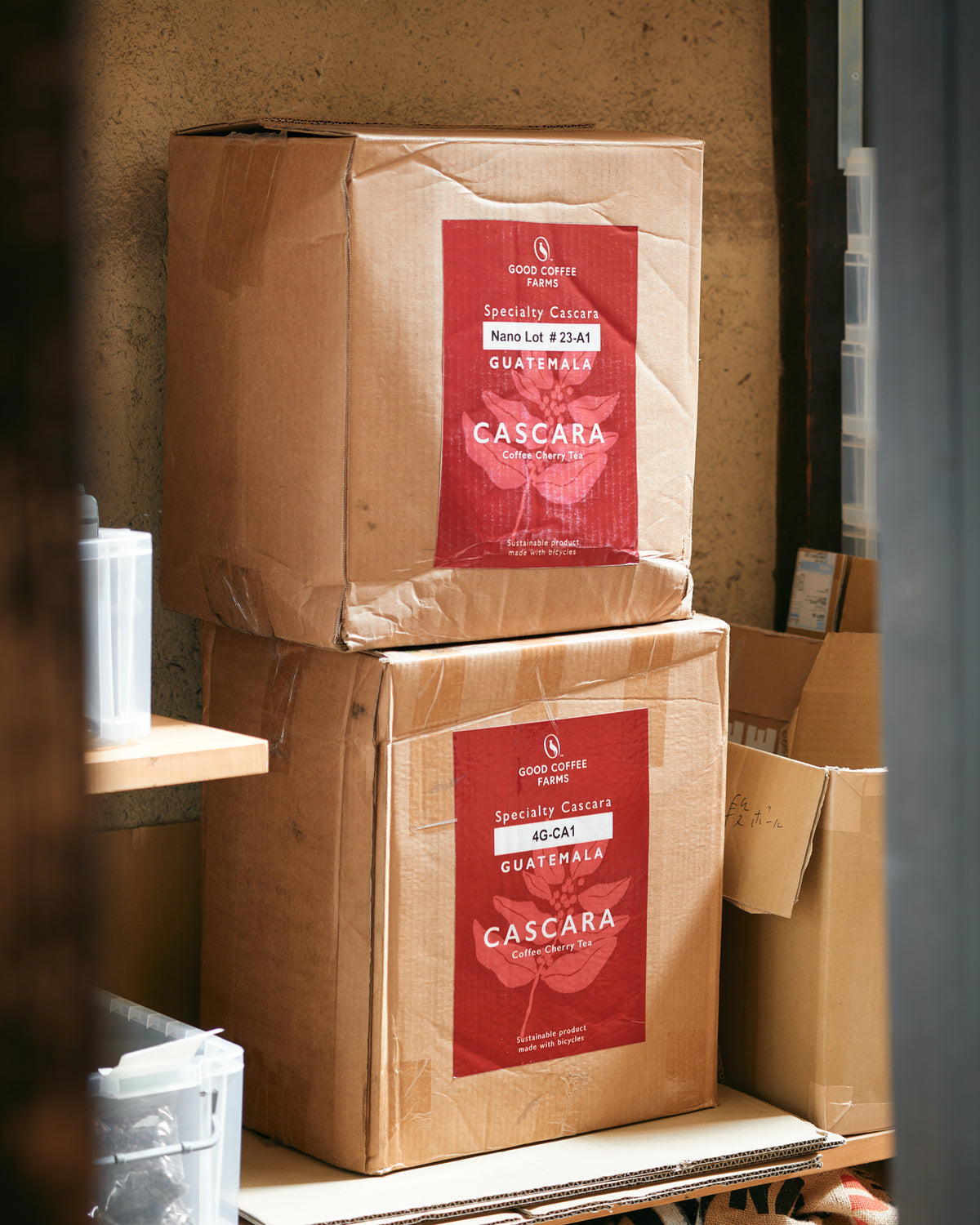 Cascara Coffee Cherry Tea Guatemala Jalapa