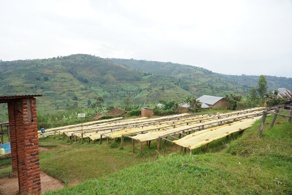 Rwanda Nkara Soil Project Lot.1204[Medium-light roast]