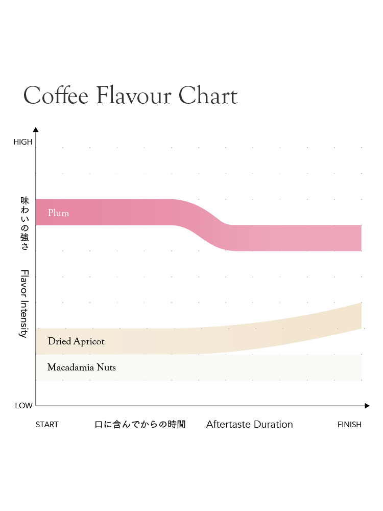 El Salvador Rene Aguilar Pacamara Natural [Light roast]