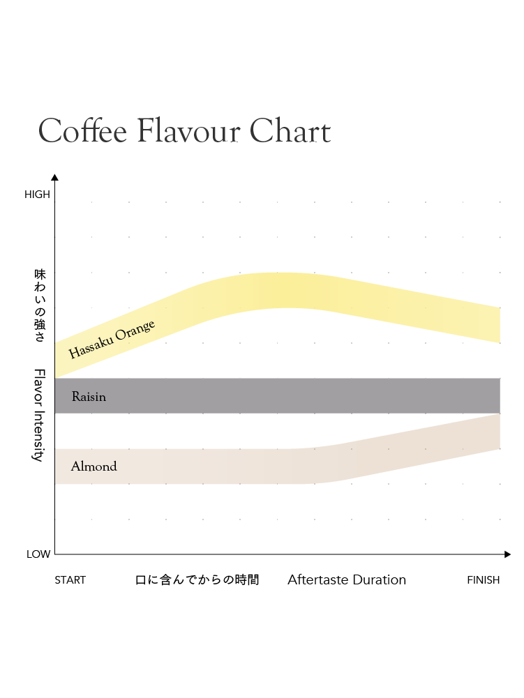 El Salvador Rene Aguilar Pacamara Washed [Light roast]