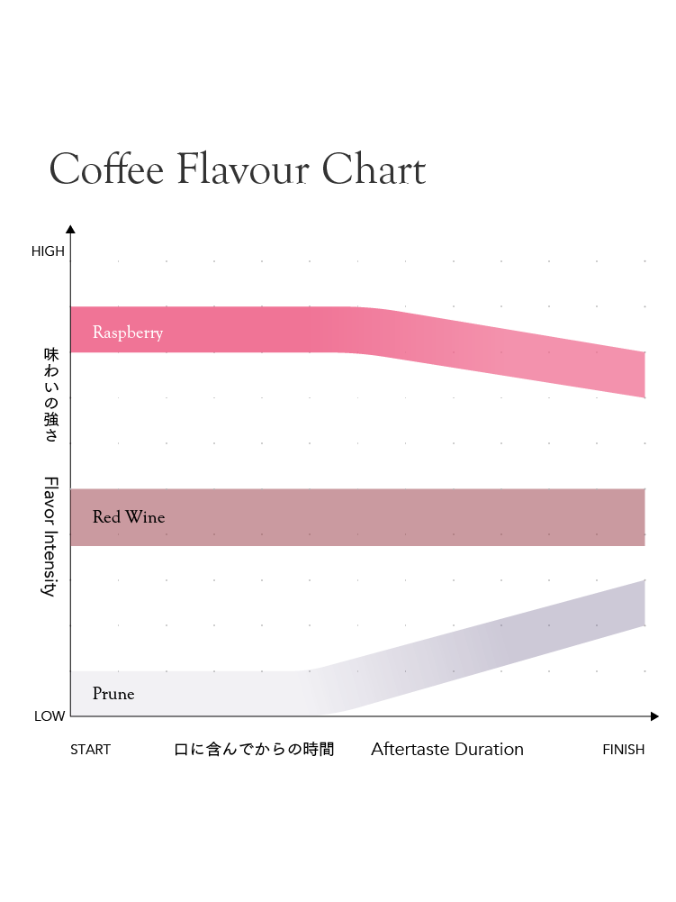 El Salvador Don Jaime Pacas Natural [Light roast]