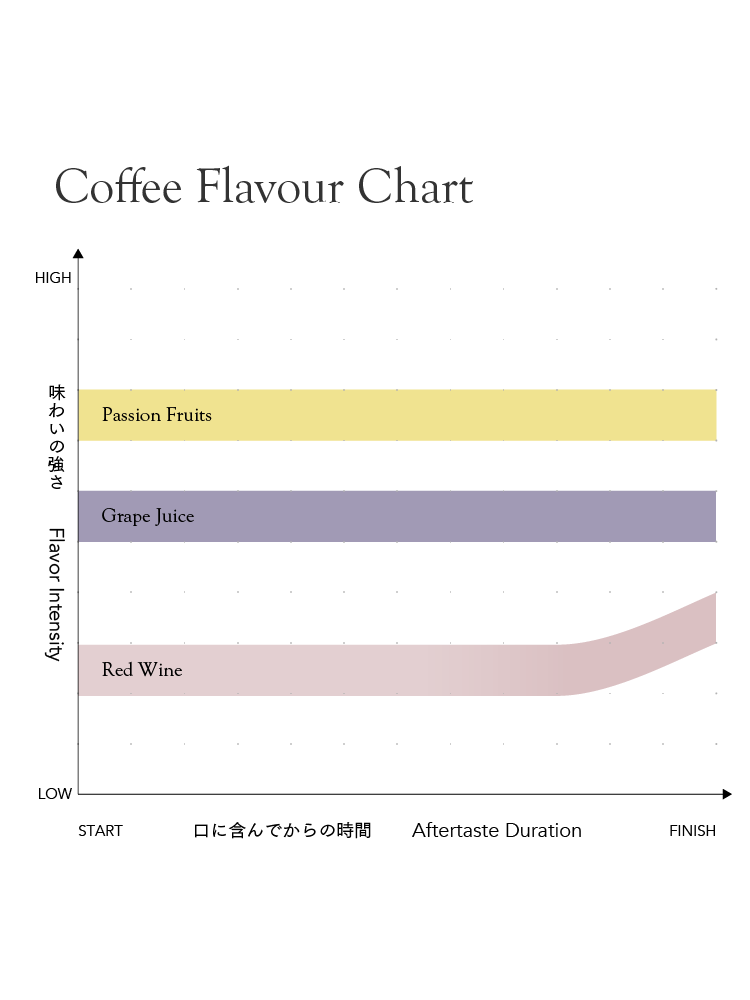 [Premium]Ethiopia Kenean Dukamo[Light roast]