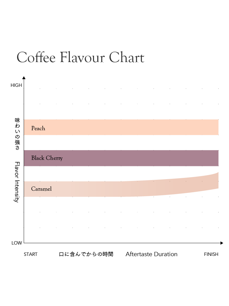 Cold Brew Ethiopia West Arsi Decaf