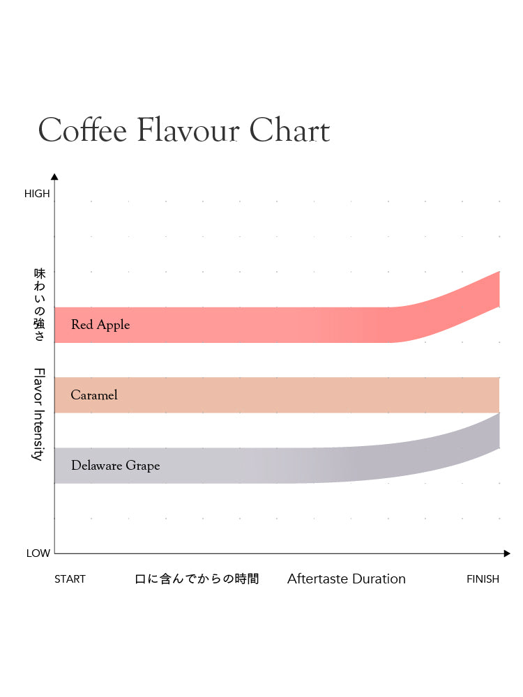 Seasonal Blend Haru Kochi 2026 [Medium roast]