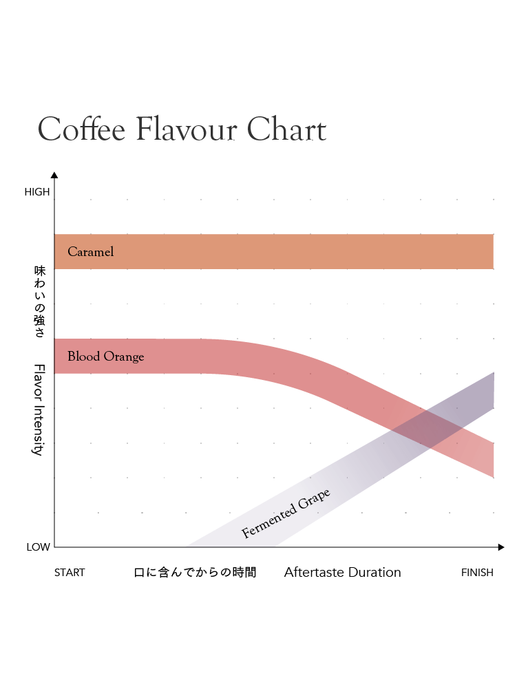 Seasonal Blend Haru Kochi 2025 [Medium roast]