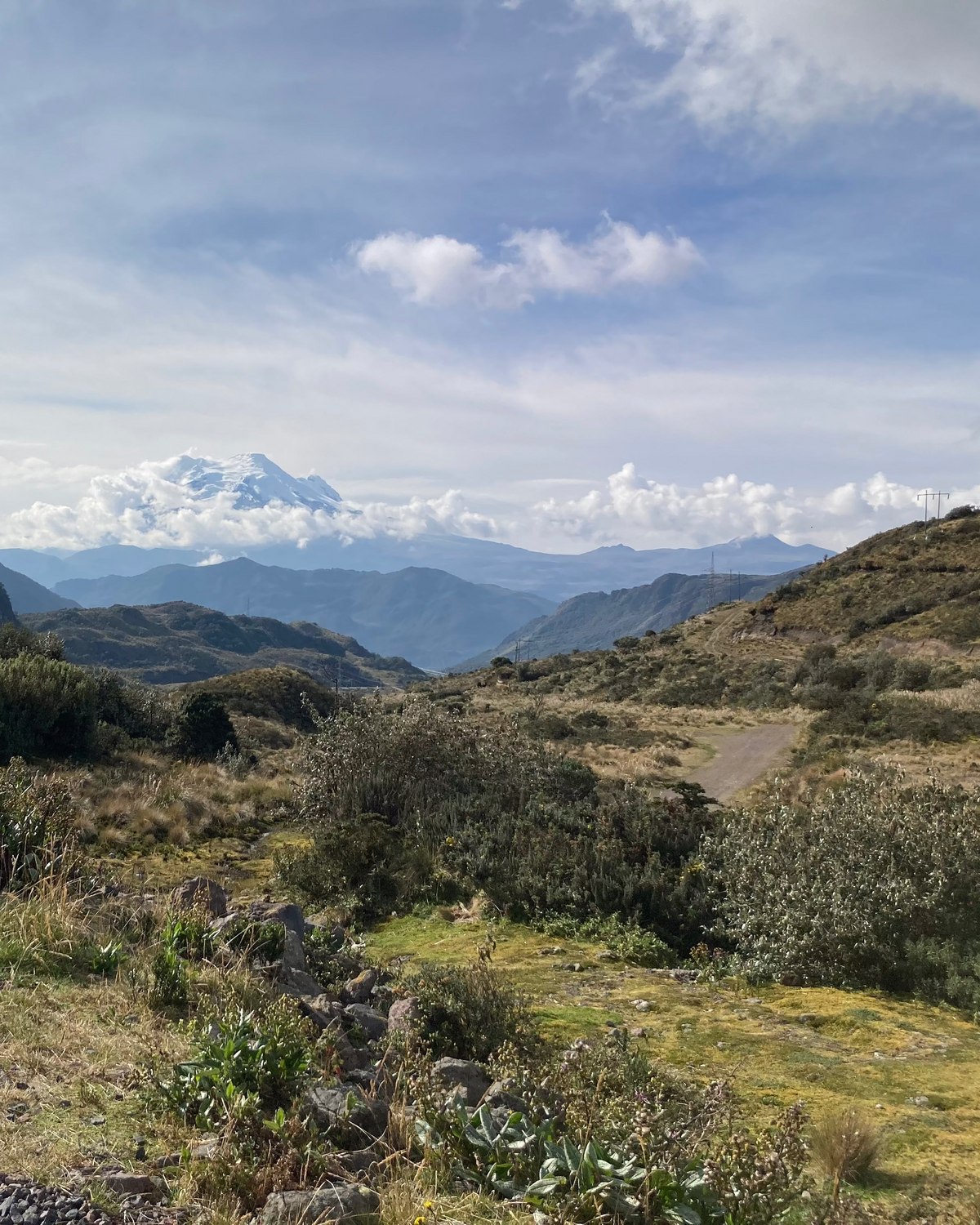 [Premium]Ecuador Leopoldo Andrade[Light roast]