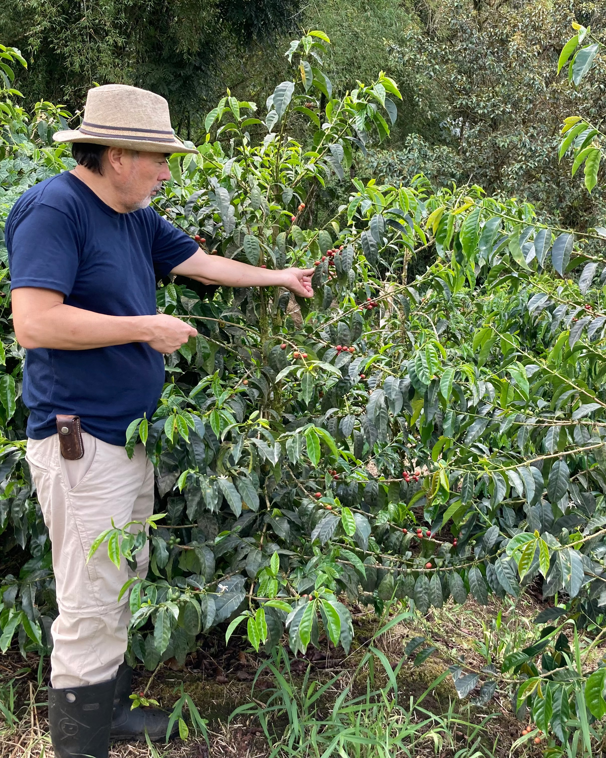[Premium]Ecuador Leopoldo Andrade[Light roast]