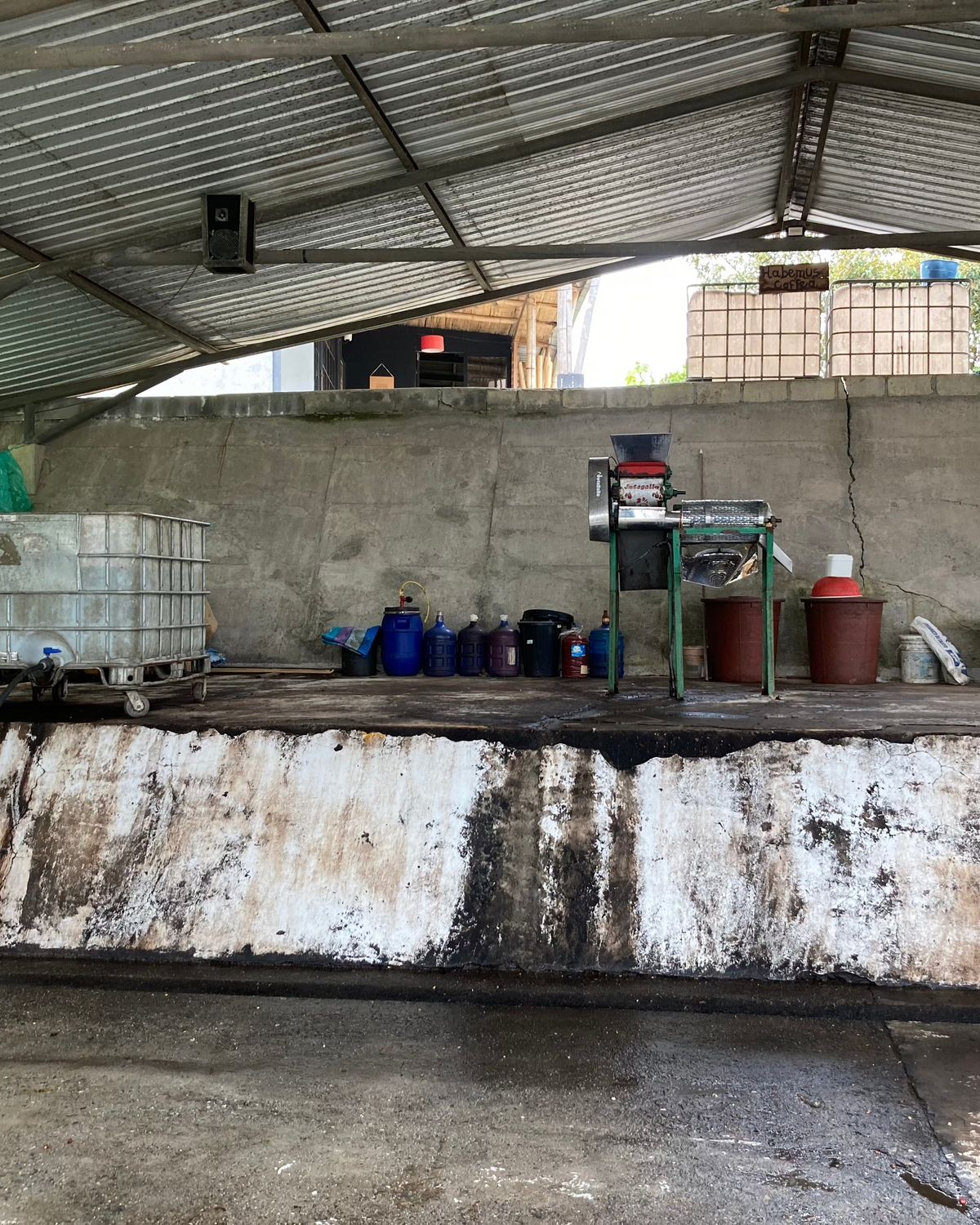 [Premium]Ecuador Leopoldo Andrade[Light roast]