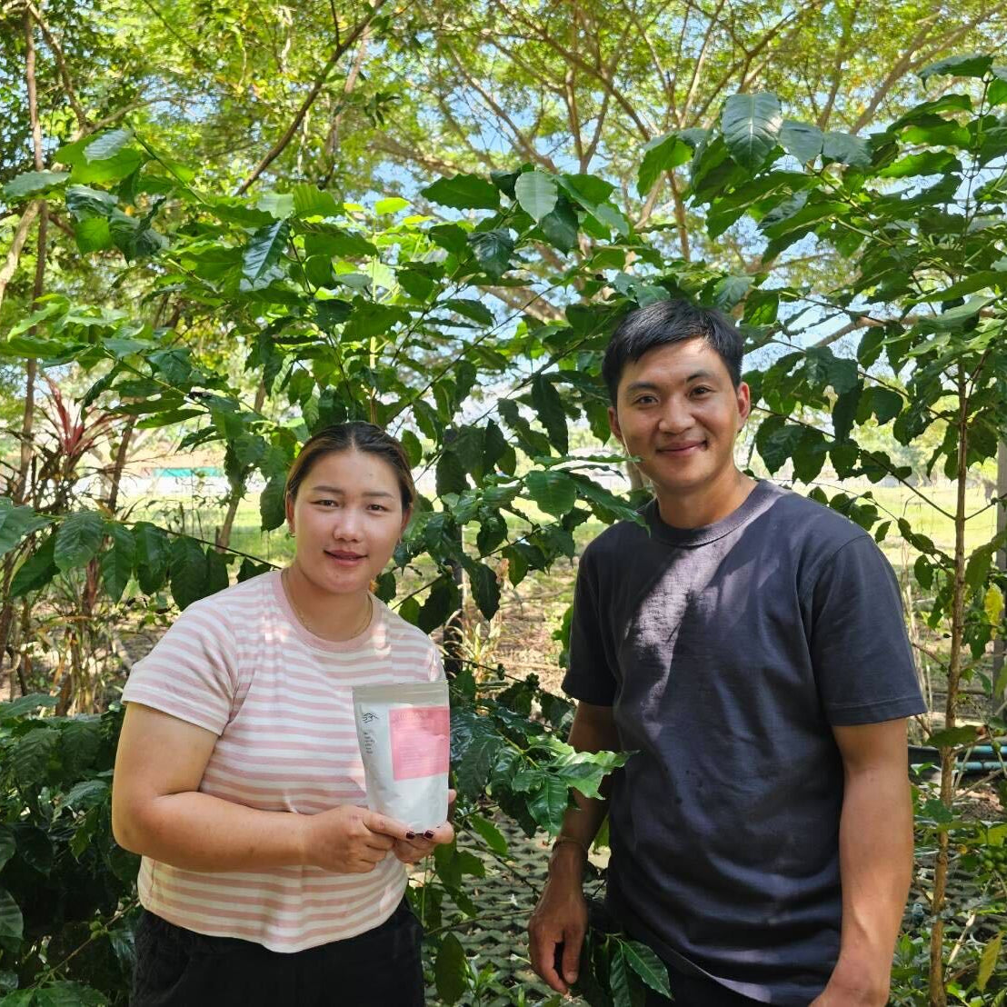 Thailand Ayo and Mika [Medium roast]