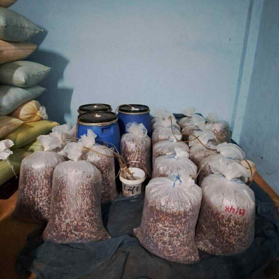 Thailand Ayo and Mika [Medium roast]