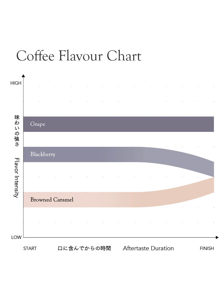 Seasonal Blend Natsu Ake 2025 [Medium roast]
