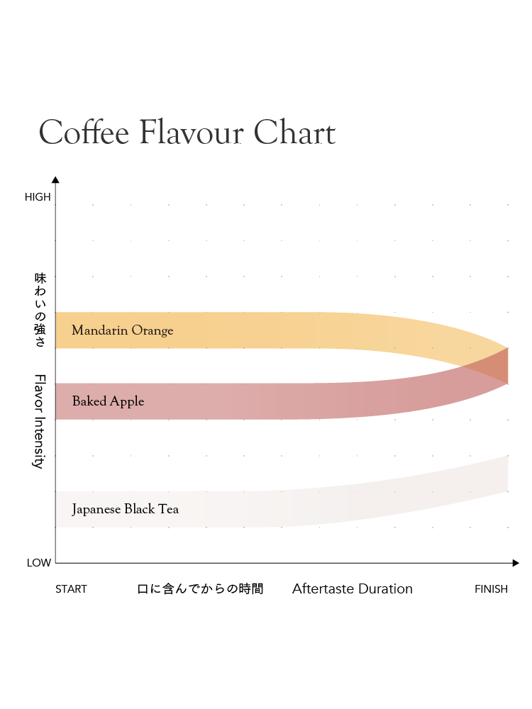 Rwanda Nkara Soil Project Lot.1204[Medium-light roast]