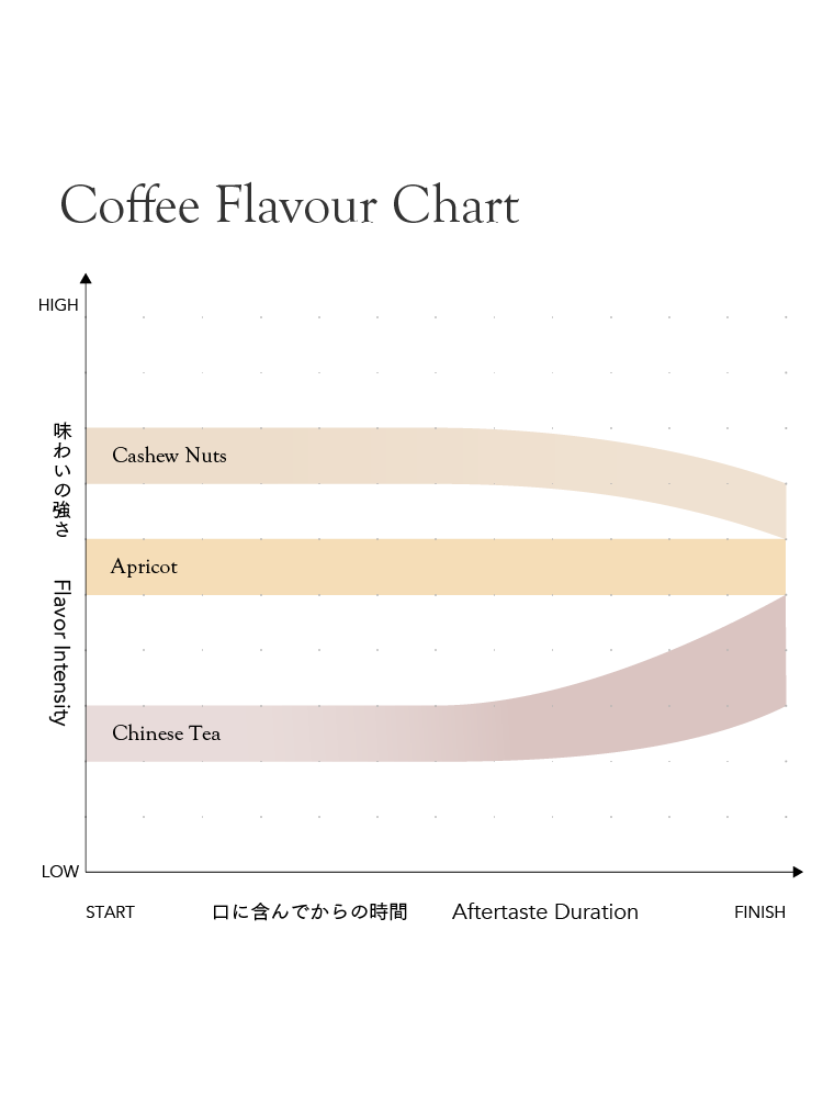Kurasu Drip Coffee Bag - Thailand Ayo and Mika [Light roast]