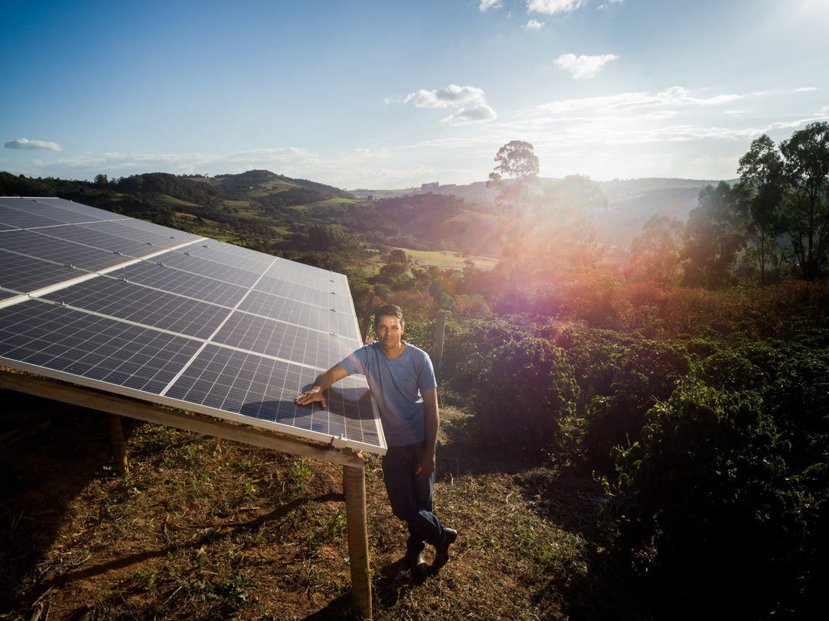 FAF Dark [Dark roast]