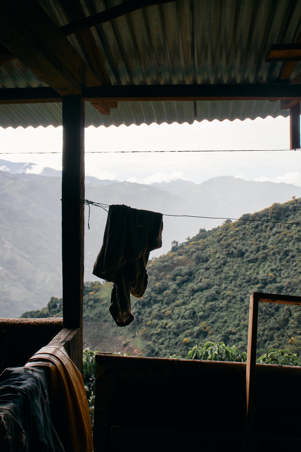 Colombia Carlos Soto CWCF #5 [Light roast]